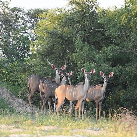 Ngangane Lodge & Reserve Francistown Zewnętrze zdjęcie