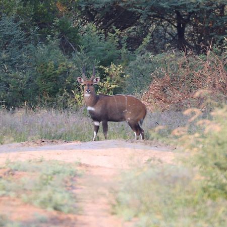 Ngangane Lodge & Reserve Francistown Zewnętrze zdjęcie