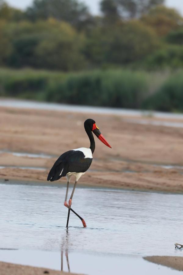 Ngangane Lodge & Reserve Francistown Zewnętrze zdjęcie
