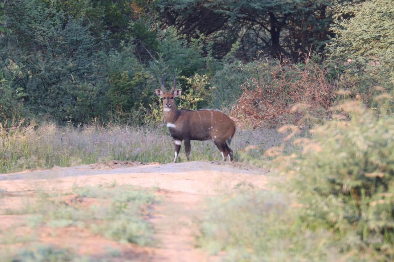 Ngangane Lodge & Reserve Francistown Zewnętrze zdjęcie