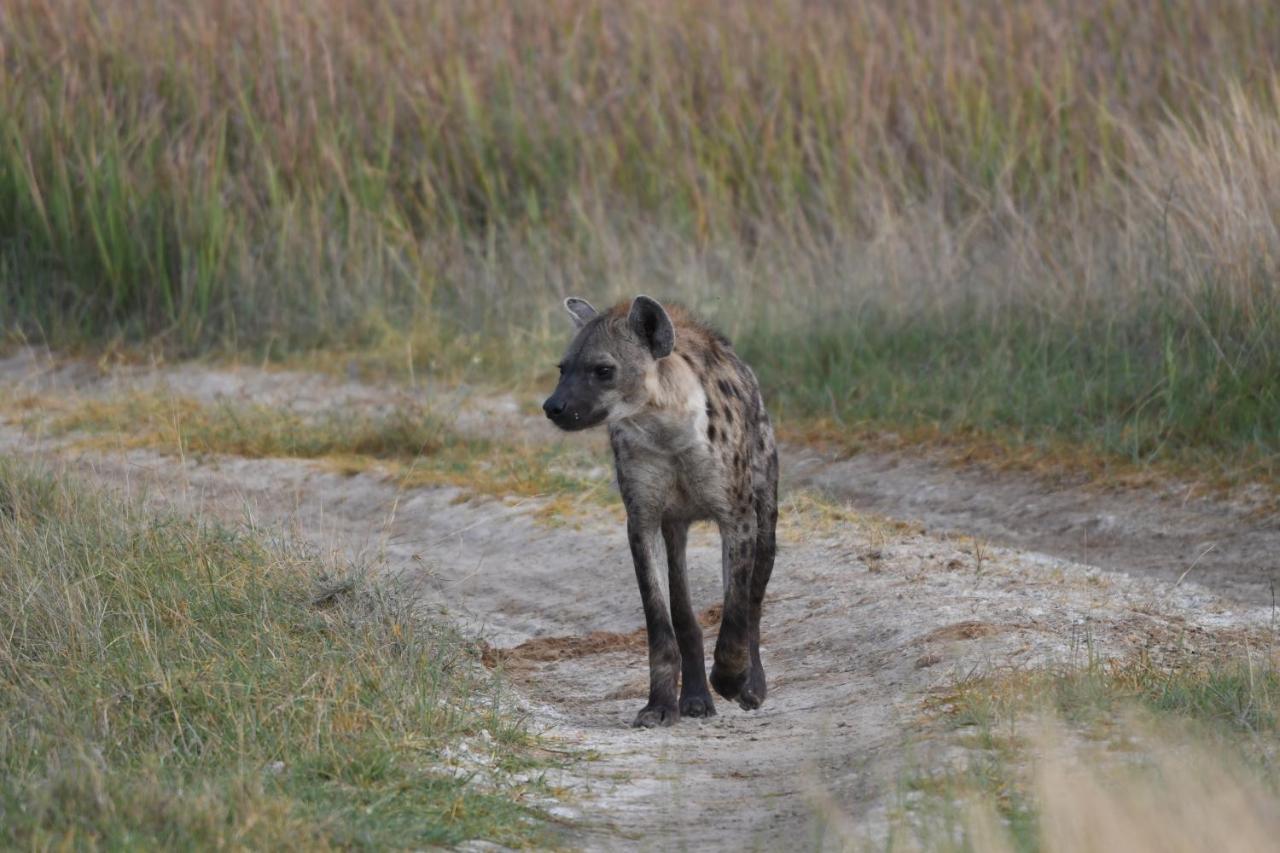 Ngangane Lodge & Reserve Francistown Zewnętrze zdjęcie