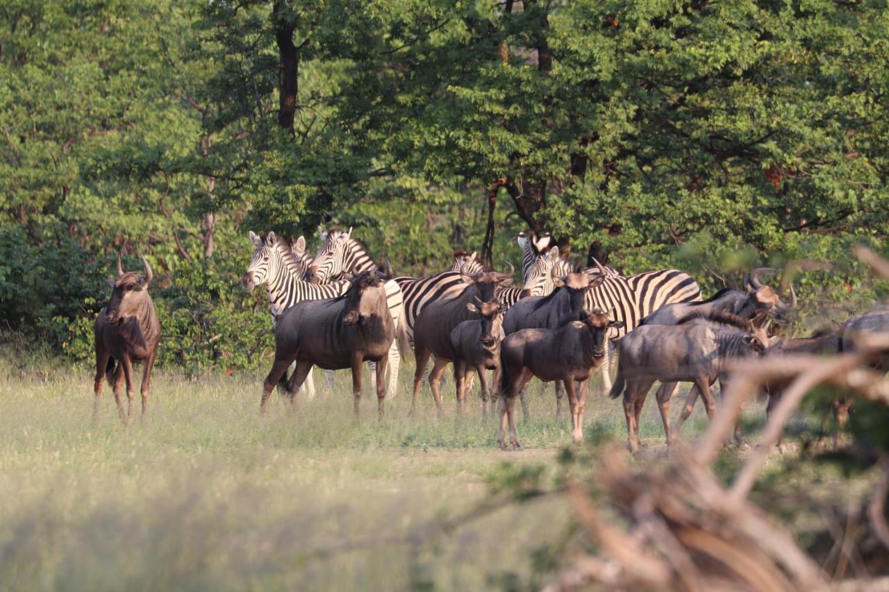 Ngangane Lodge & Reserve Francistown Zewnętrze zdjęcie