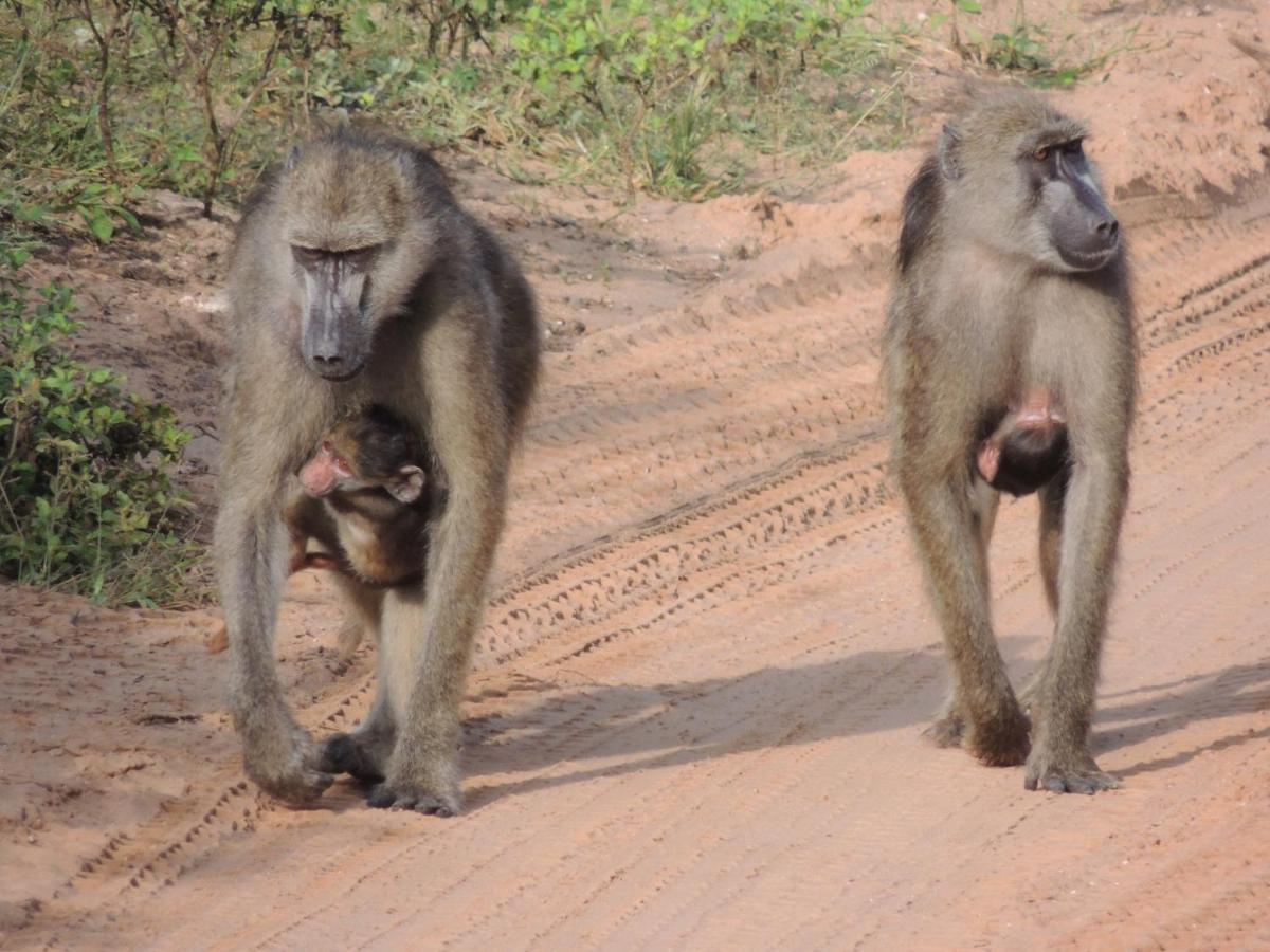 Ngangane Lodge & Reserve Francistown Zewnętrze zdjęcie