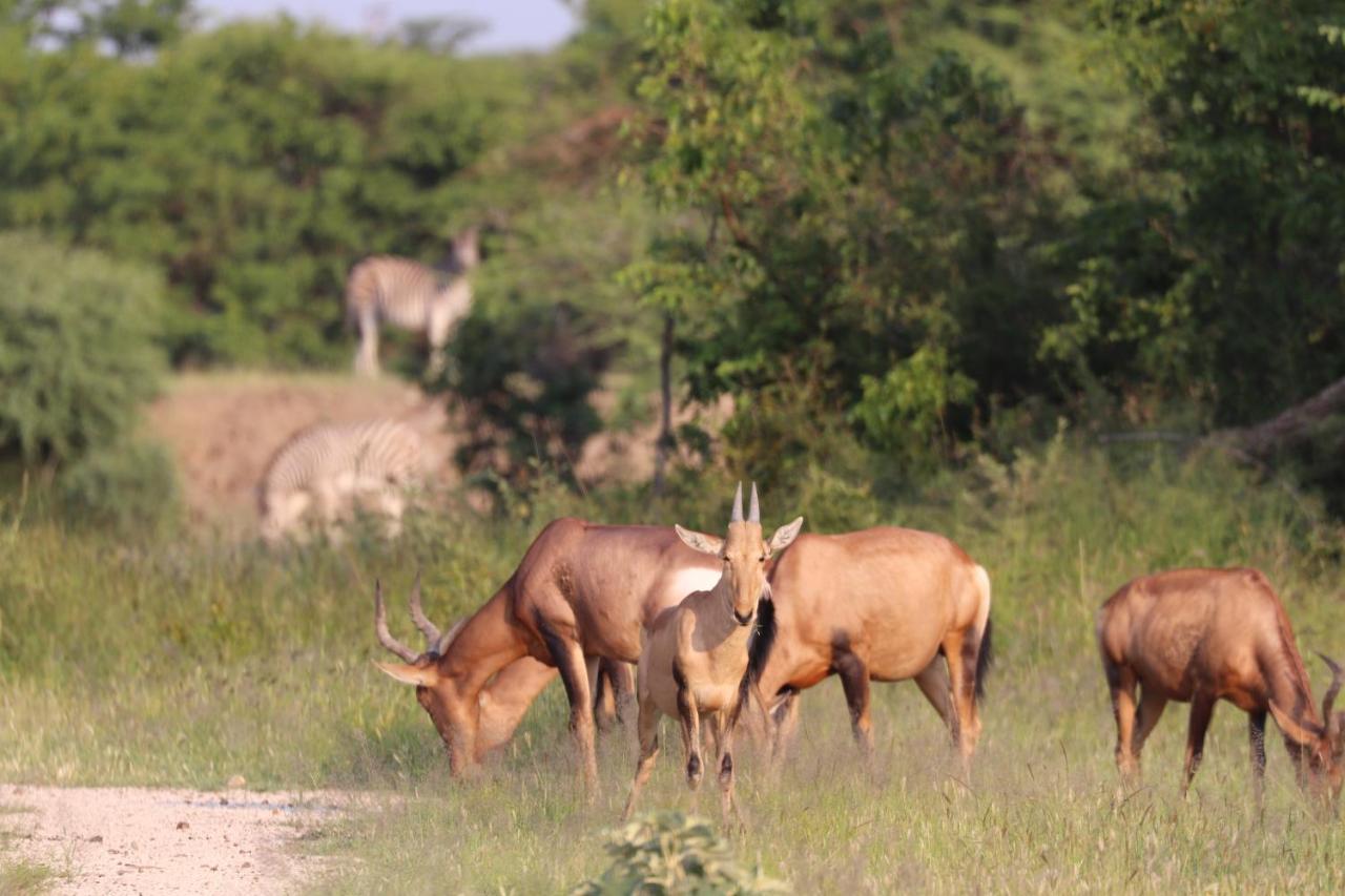 Ngangane Lodge & Reserve Francistown Zewnętrze zdjęcie