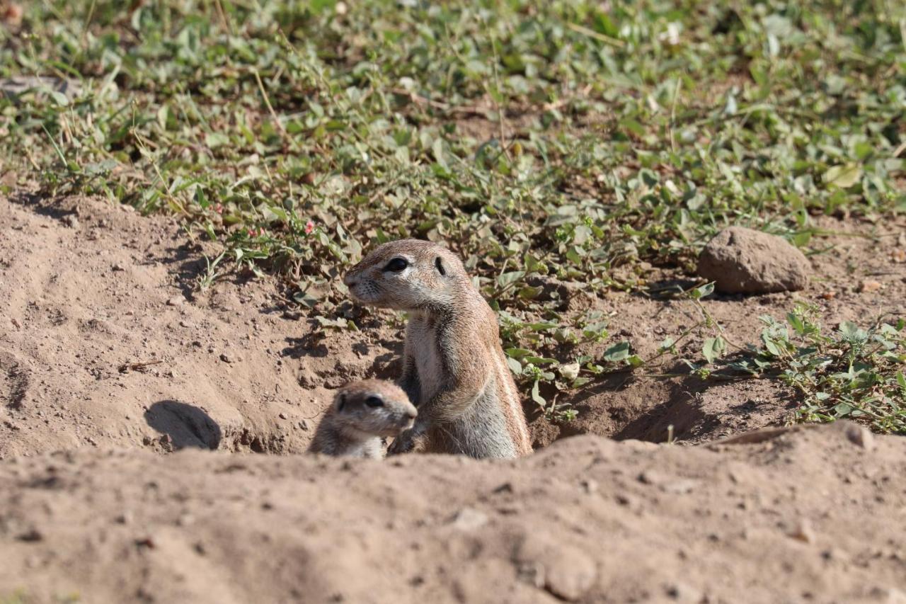 Ngangane Lodge & Reserve Francistown Zewnętrze zdjęcie