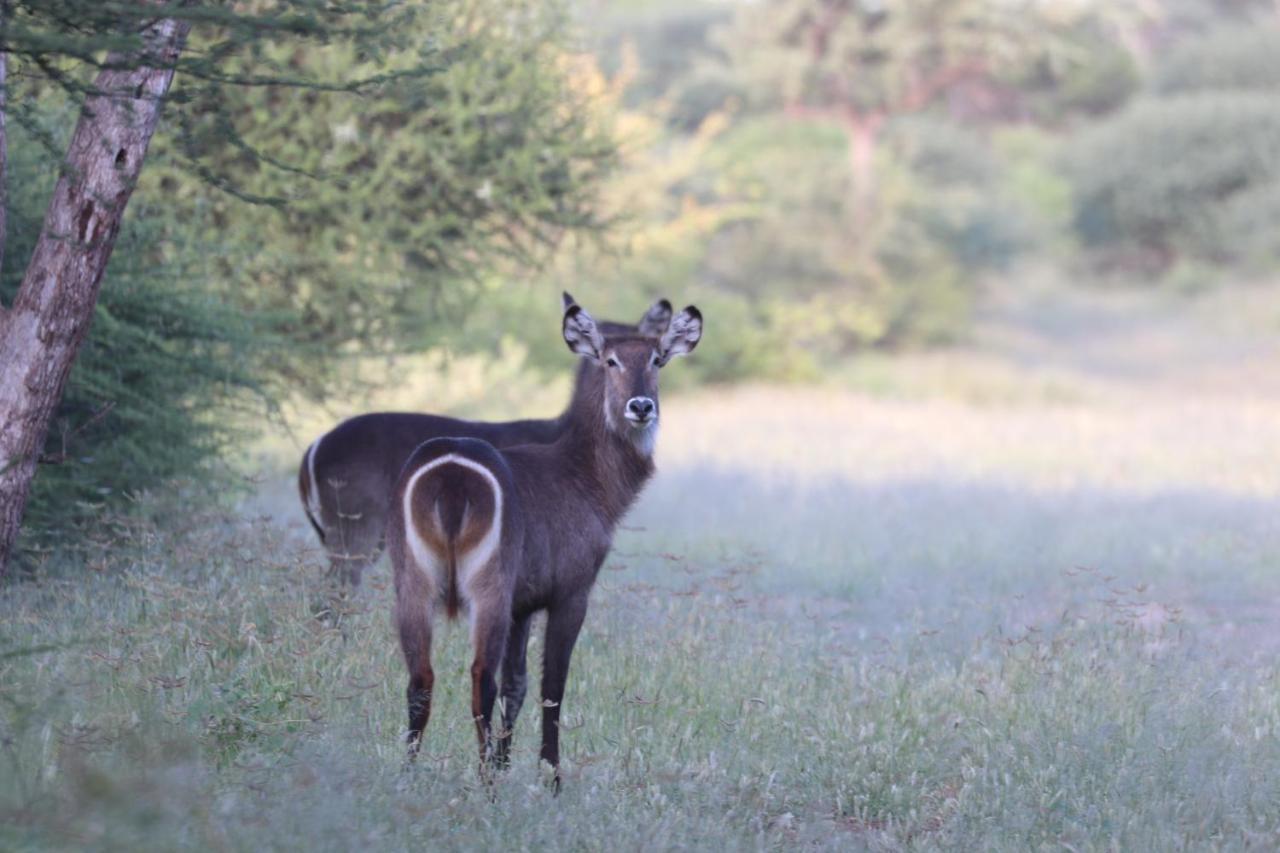 Ngangane Lodge & Reserve Francistown Zewnętrze zdjęcie