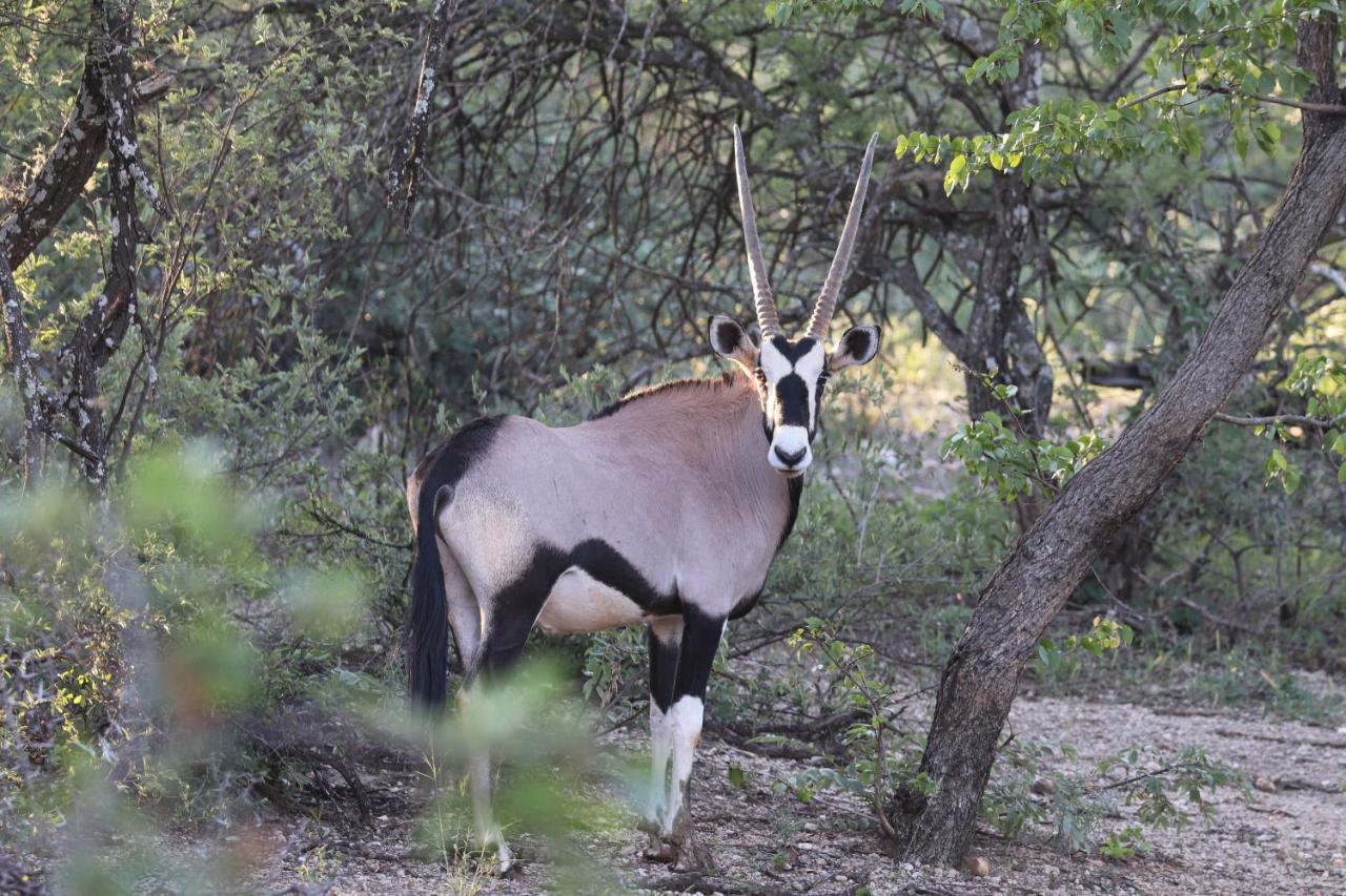 Ngangane Lodge & Reserve Francistown Zewnętrze zdjęcie